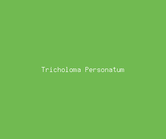 tricholoma personatum meaning, definitions, synonyms